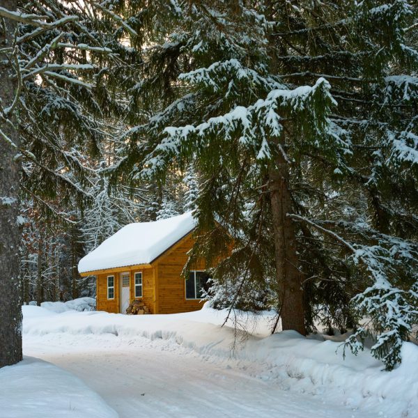 wood-cabin
