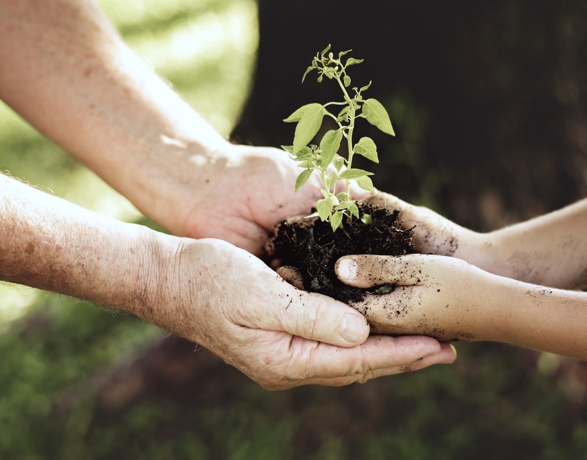 Tips for Navigating Your Inheritance